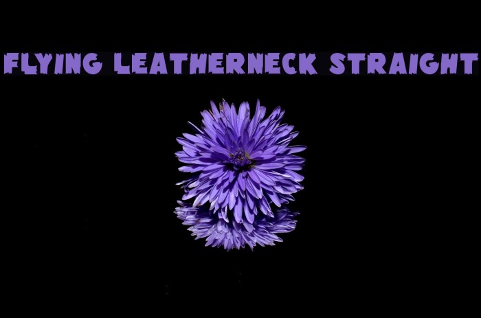 Flying Leatherneck Straight Font examples
