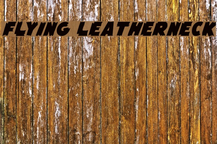Flying Leatherneck Font examples