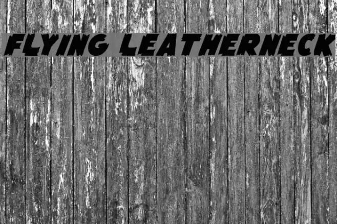 Flying Leatherneck Fonte examples