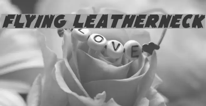 Flying Leatherneck Fonte examples