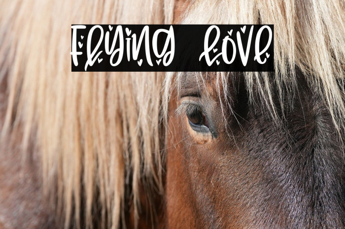 Flying Love Example 1