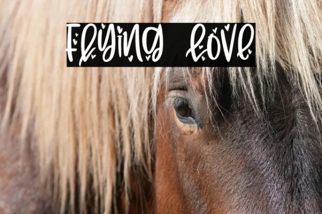 Flying Love Example 1