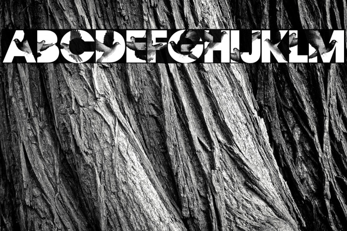 Flying Peace PERSONAL USE Regular Example 1