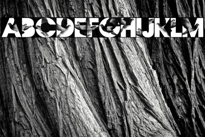 Flying Peace PERSONAL USE Regular Example 1