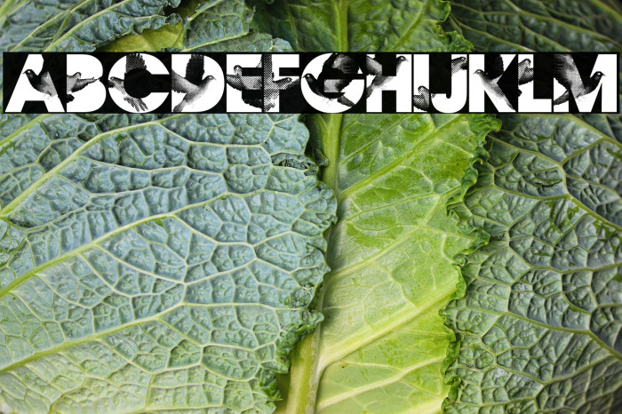 Flying Peace PERSONAL USE Regular Example 2