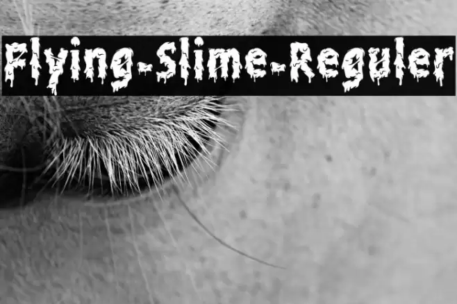 Flying-Slime-Reguler Font examples