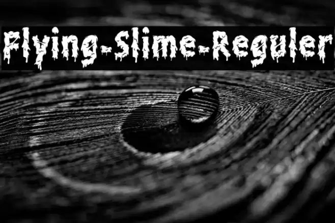 Flying-Slime-Reguler Font examples