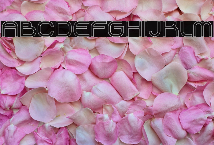 Flying Sneakers Outline Example 2