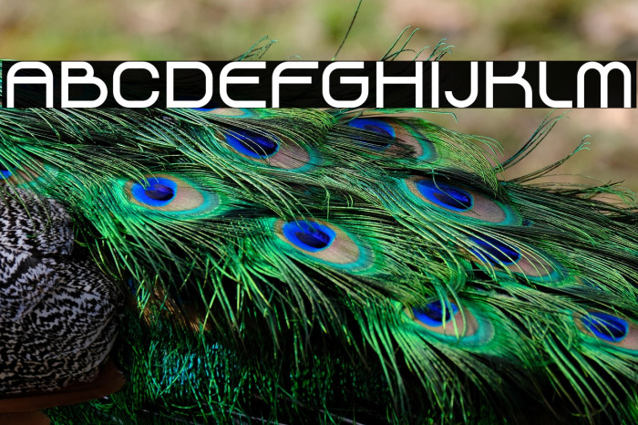 Flying Sneakers Example 2