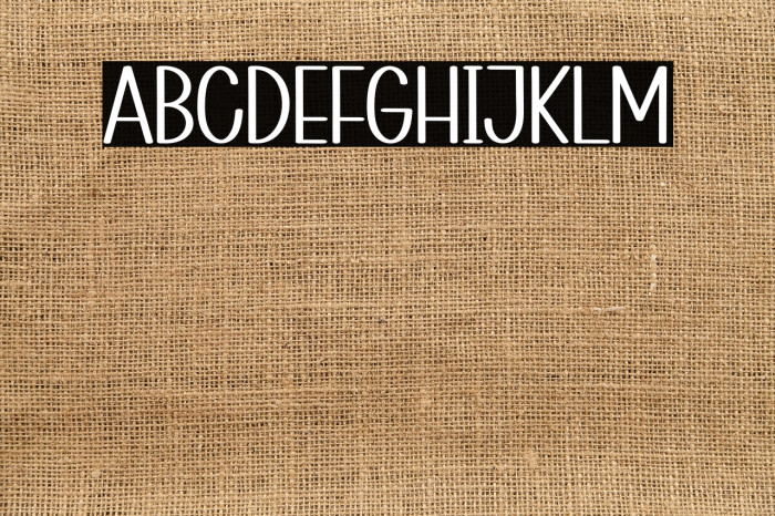 Flying Star Example 2