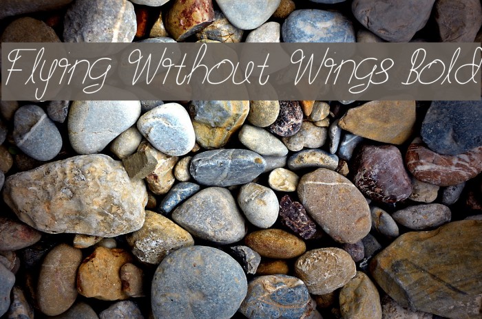 Flying Without Wings Bold Font examples