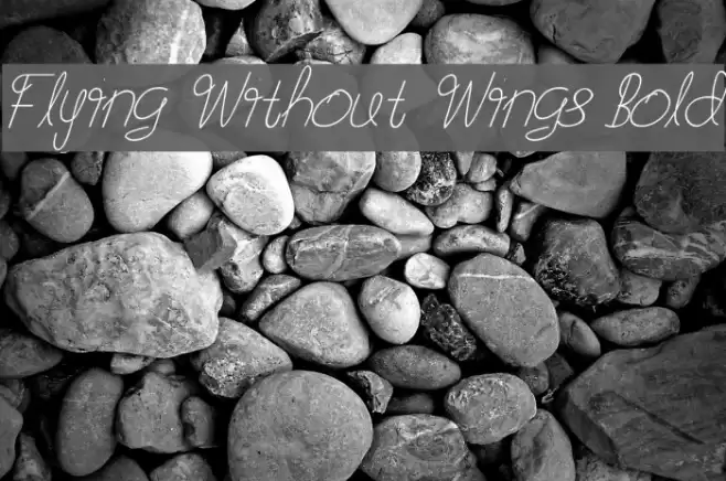 Flying Without Wings Bold Fonte examples