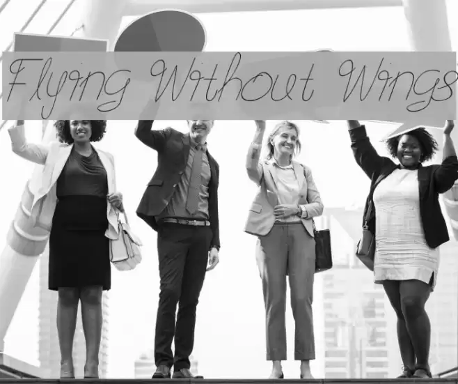 Flying Without Wings Fonte examples