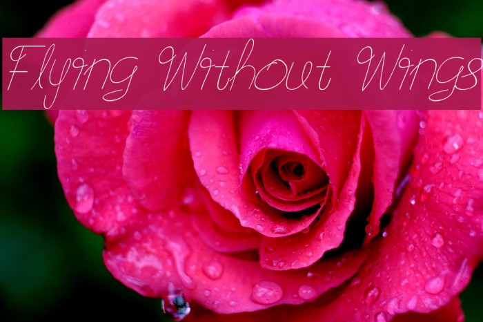 Flying Without Wings フォント examples