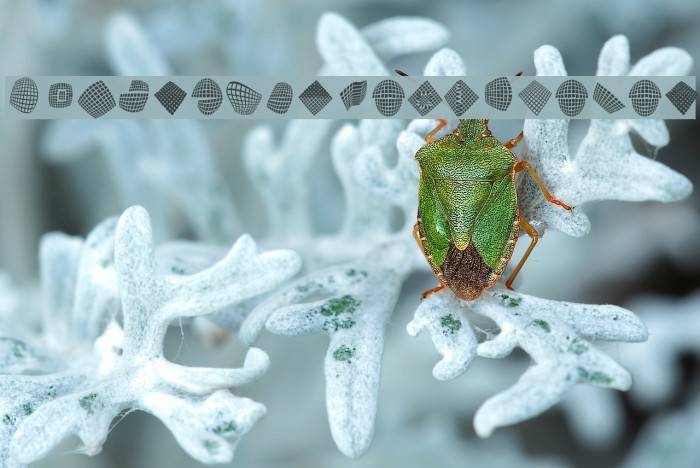 FlyingCarpetsOSeven Example 2