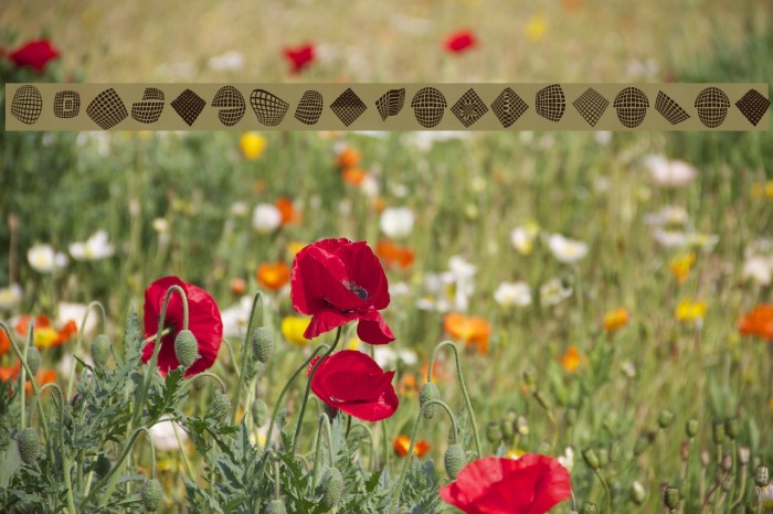 FlyingCarpetsOSeven Example 3