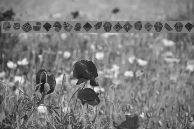 FlyingCarpetsOSeven Font examples