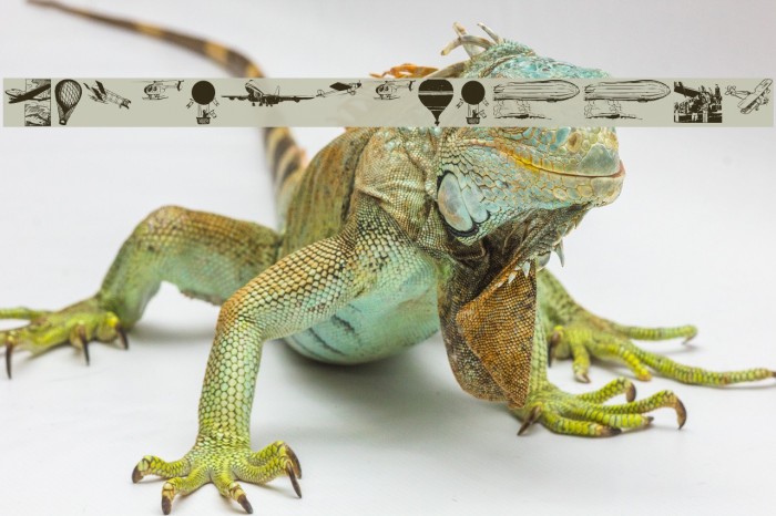 FlyingPioneers Example 3