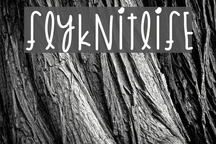 FlyknitLife Font examples
