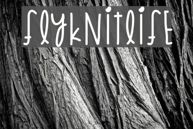 FlyknitLife Example 3