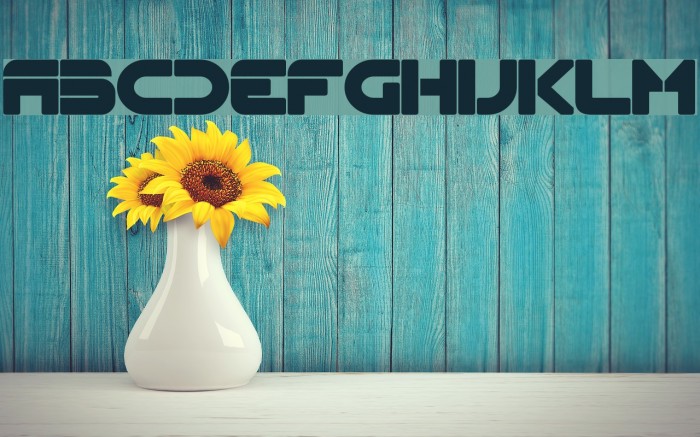 Flynn Bold Example 1