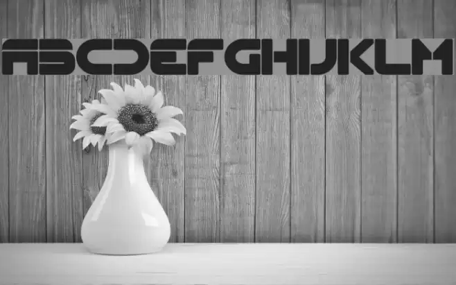 Flynn Bold Font examples