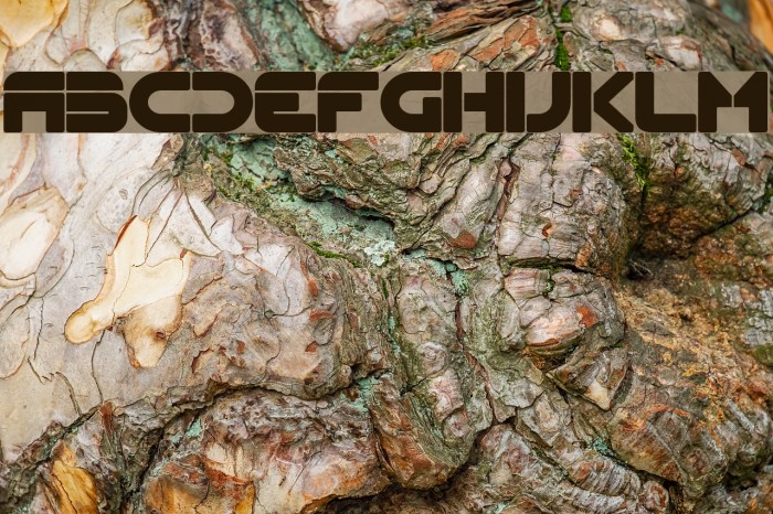 Flynn Bold Example 3