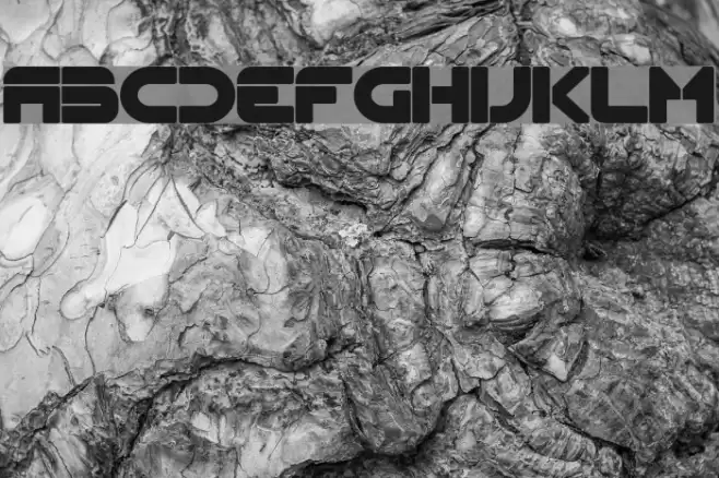 Flynn Bold Font examples