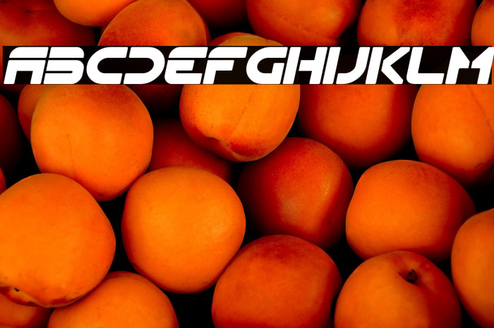 Flynn Italic Example 3