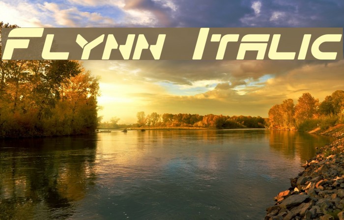 Flynn Italic Font examples