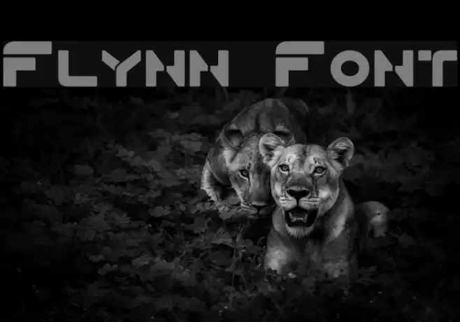 Flynn Font examples