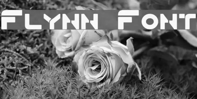 Flynn Font examples