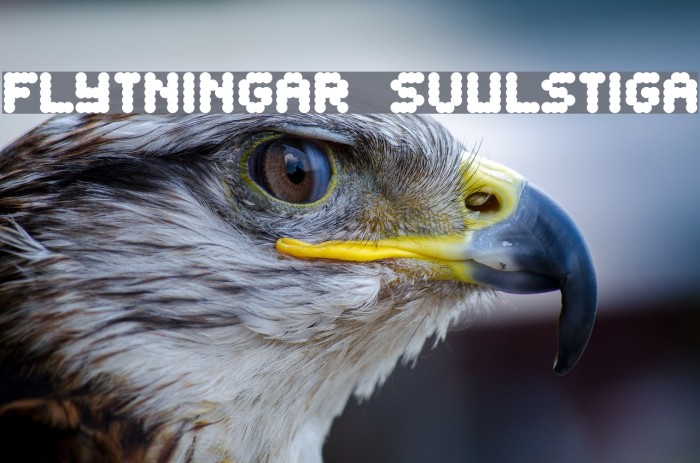 Flytningar Svulstiga Font examples