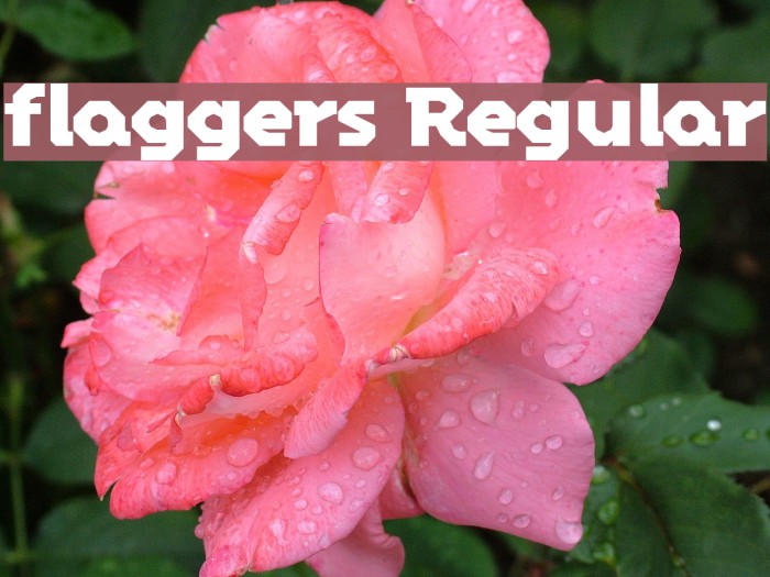 flaggers Regular Font examples