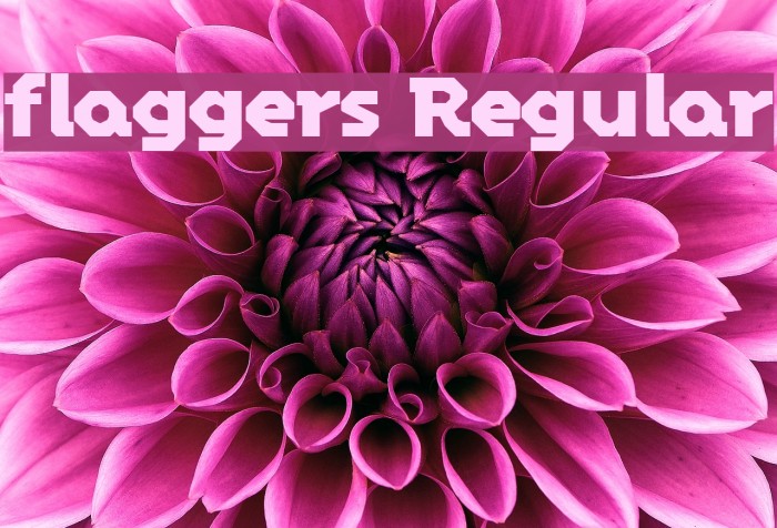 flaggers Regular Font examples