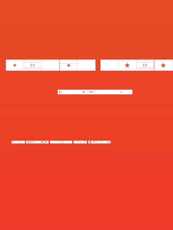 flags color world Poster