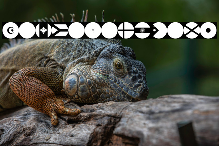 flags world color Example 3