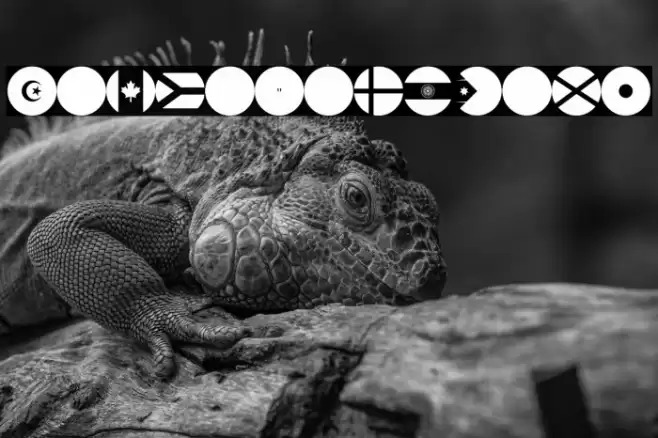 flags world color Font examples