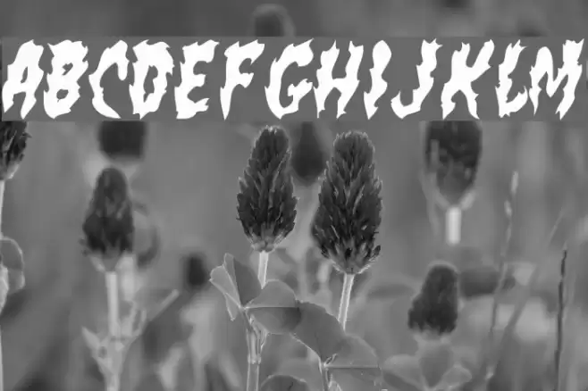 flamin poo Fuentes examples