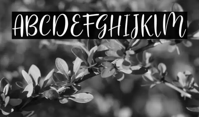 flashback Font examples