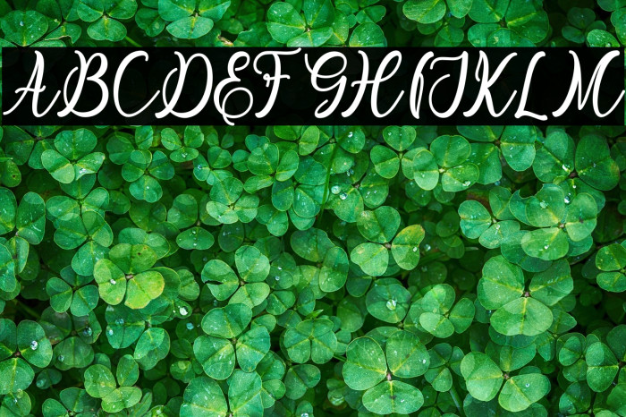 flashlight Example 1