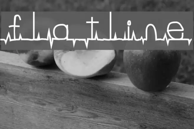 flatline Font examples