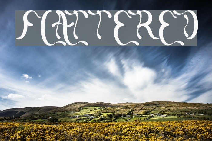 flattered Font examples