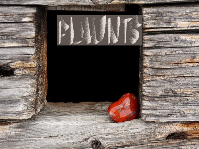 flaunts Font examples