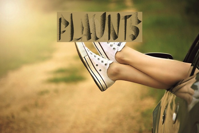 flaunts Font examples