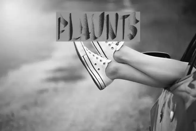 flaunts Font examples