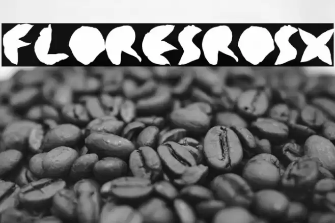 floresrosx Font examples