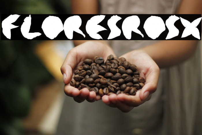 floresrosx Example 2