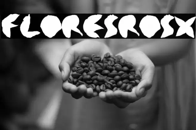 floresrosx Font examples