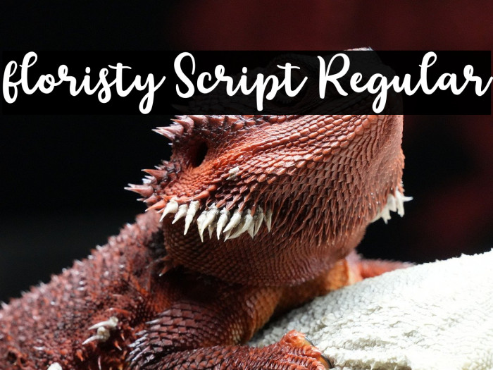 floristy Script Regular Example 1